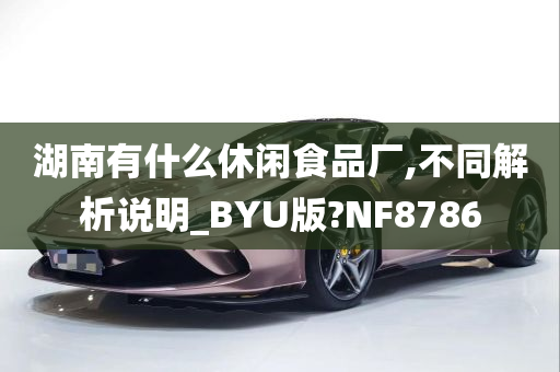 湖南有什么休闲食品厂,不同解析说明_BYU版?NF8786