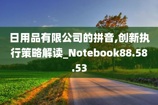 日用品有限公司的拼音,创新执行策略解读_Notebook88.58.53