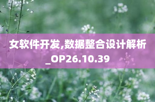 女软件开发,数据整合设计解析_OP26.10.39