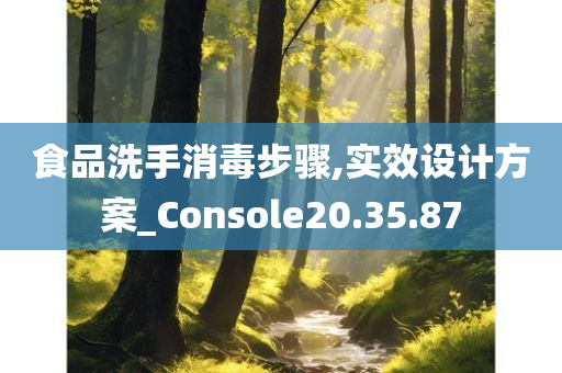 食品洗手消毒步骤,实效设计方案_Console20.35.87