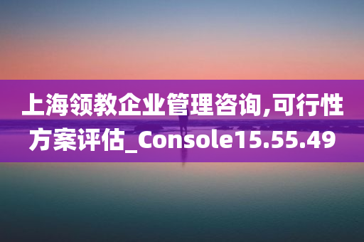 上海领教企业管理咨询,可行性方案评估_Console15.55.49