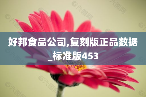 好邦食品公司,复刻版正品数据_标准版453