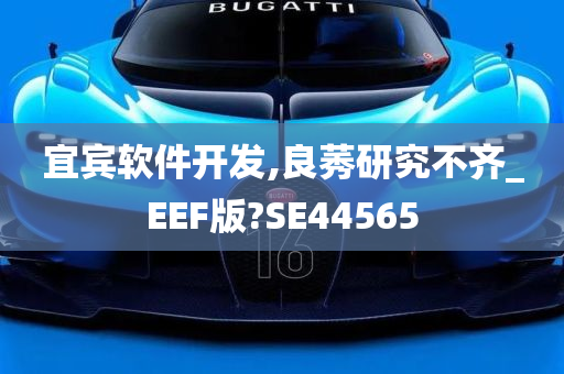 宜宾软件开发,良莠研究不齐_EEF版?SE44565