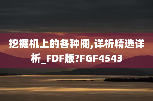 挖掘机上的各种阀,详析精选详析_FDF版?FGF4543