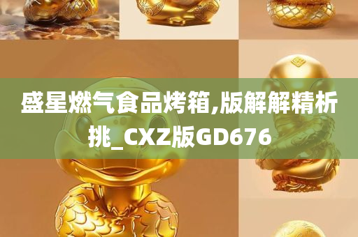 盛星燃气食品烤箱,版解解精析挑_CXZ版GD676