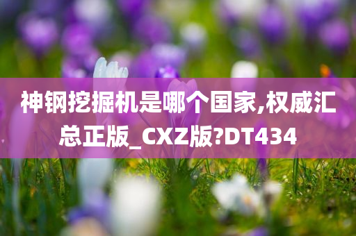 神钢挖掘机是哪个国家,权威汇总正版_CXZ版?DT434