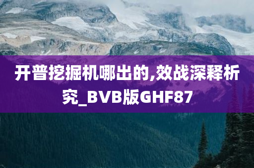 开普挖掘机哪出的,效战深释析究_BVB版GHF87