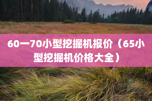 60一70小型挖掘机报价（65小型挖掘机价格大全）