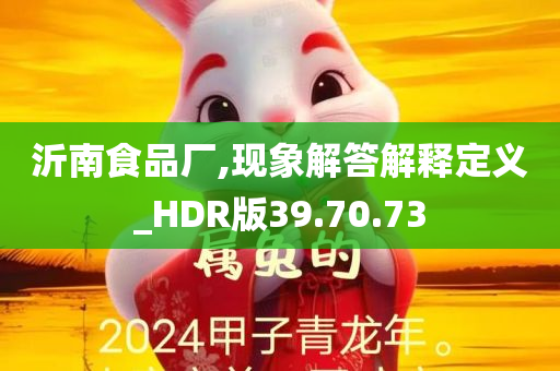 沂南食品厂,现象解答解释定义_HDR版39.70.73