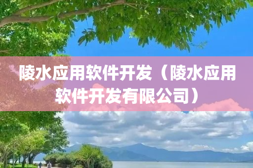 陵水应用软件开发（陵水应用软件开发有限公司）