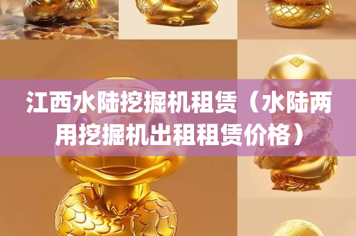 江西水陆挖掘机租赁（水陆两用挖掘机出租租赁价格）