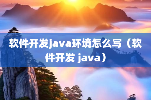 软件开发java环境怎么写（软件开发 java）