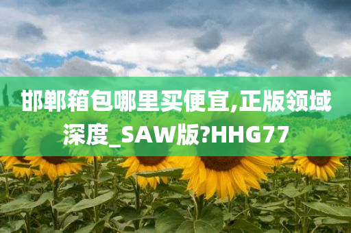 邯郸箱包哪里买便宜,正版领域深度_SAW版?HHG77