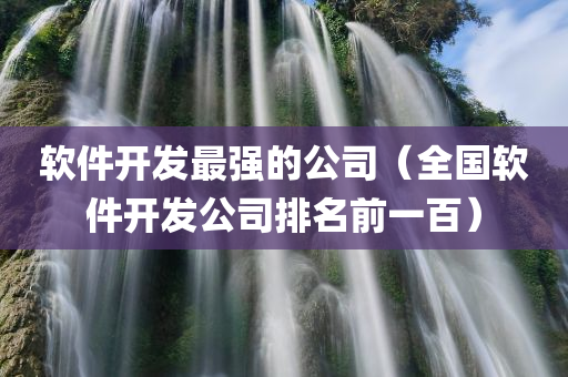 软件开发最强的公司（全国软件开发公司排名前一百）