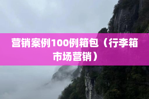 营销案例100例箱包（行李箱市场营销）