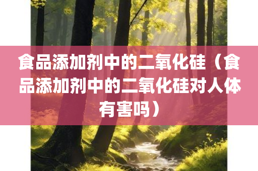 食品添加剂中的二氧化硅（食品添加剂中的二氧化硅对人体有害吗）