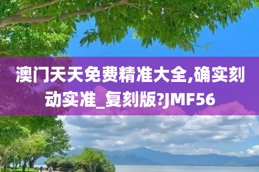 澳门天天免费精准大全,确实刻动实准_复刻版?JMF56