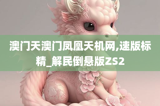 澳门天澳门凤凰天机网,速版标精_解民倒悬版ZS2