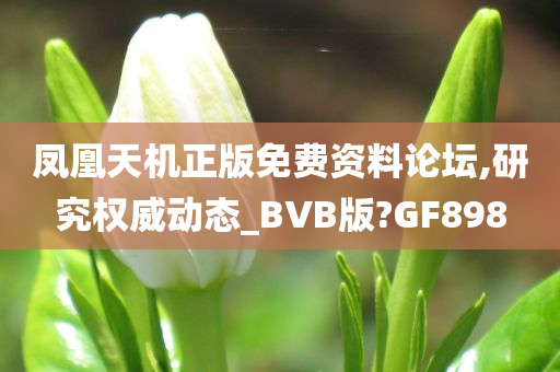 凤凰天机正版免费资料论坛,研究权威动态_BVB版?GF898