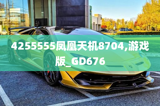 4255555凤凰天机8704,游戏版_GD676