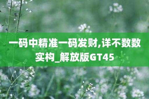 一码中精准一码发财,详不数数实构_解放版GT45