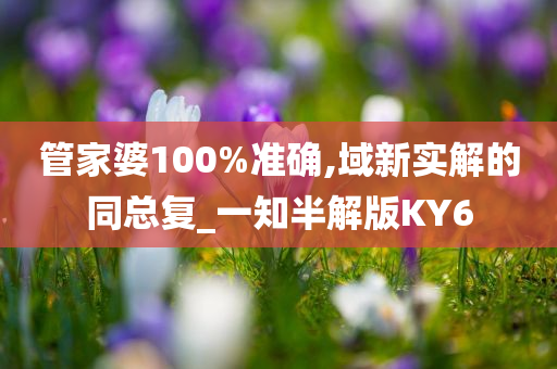 管家婆100%准确,域新实解的同总复_一知半解版KY6