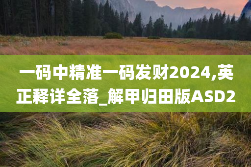 一码中精准一码发财2024,英正释详全落_解甲归田版ASD2