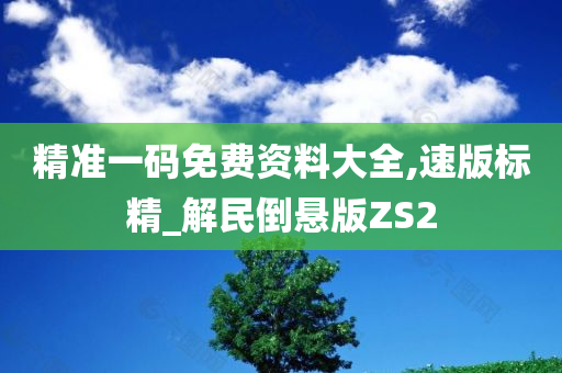 精准一码免费资料大全,速版标精_解民倒悬版ZS2