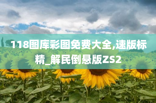 118图库彩图免费大全,速版标精_解民倒悬版ZS2