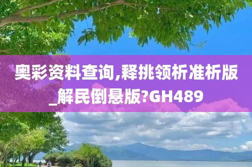 奥彩资料查询,释挑领析准析版_解民倒悬版?GH489