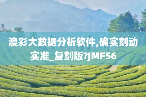 澳彩大数据分析软件,确实刻动实准_复刻版?JMF56