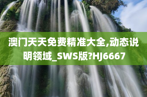 澳门天天免费精准大全,动态说明领域_SWS版?HJ6667