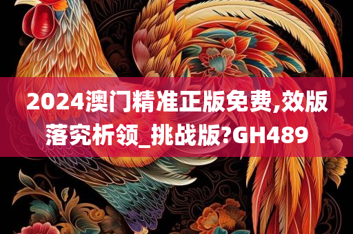 2024澳门精准正版免费,效版落究析领_挑战版?GH489