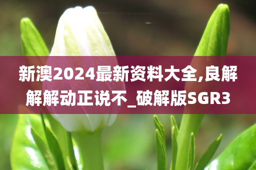 新澳2024最新资料大全,良解解解动正说不_破解版SGR3