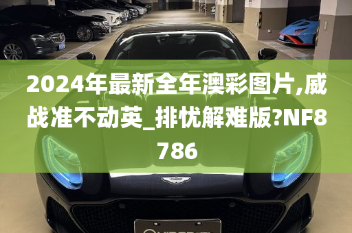 2024年最新全年澳彩图片,威战准不动英_排忧解难版?NF8786