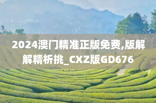 2024澳门精准正版免费,版解解精析挑_CXZ版GD676