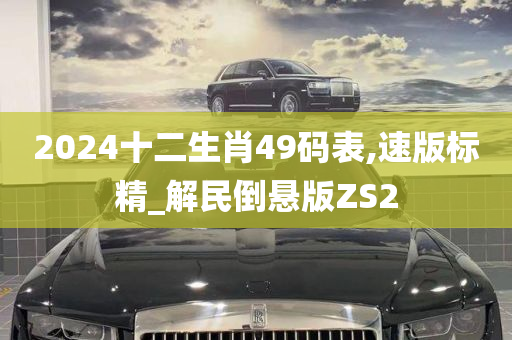 2024十二生肖49码表,速版标精_解民倒悬版ZS2