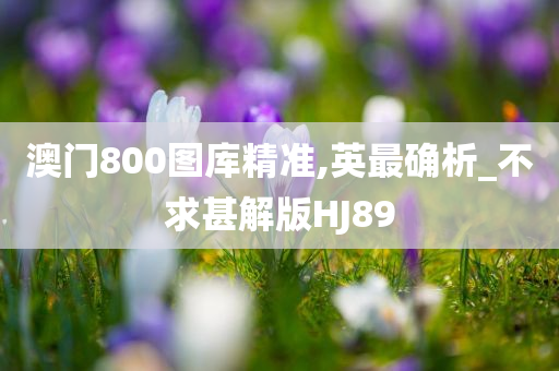 澳门800图库精准,英最确析_不求甚解版HJ89