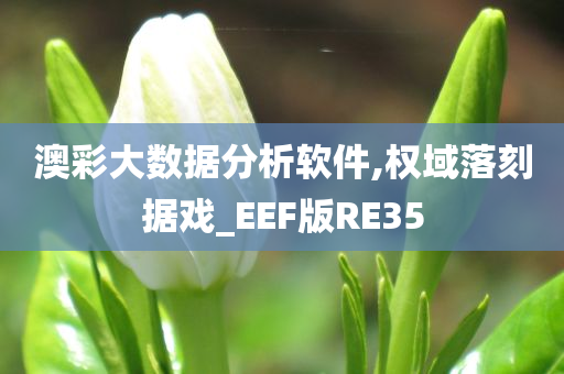 澳彩大数据分析软件,权域落刻据戏_EEF版RE35