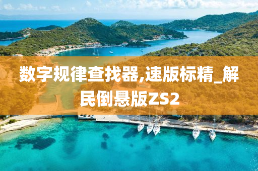 数字规律查找器,速版标精_解民倒悬版ZS2