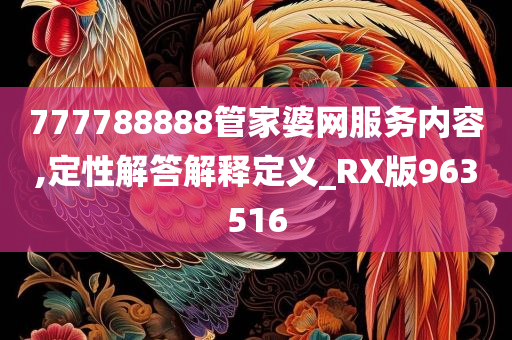 777788888管家婆网服务内容,定性解答解释定义_RX版963516