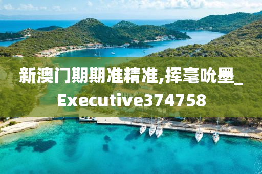 新澳门期期准精准,挥毫吮墨_Executive374758