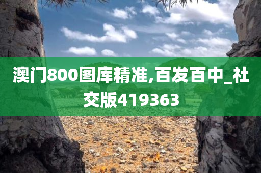 澳门800图库精准,百发百中_社交版419363