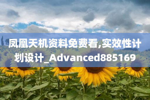 凤凰天机资料免费看,实效性计划设计_Advanced885169