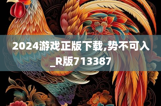 2024游戏正版下载,势不可入_R版713387