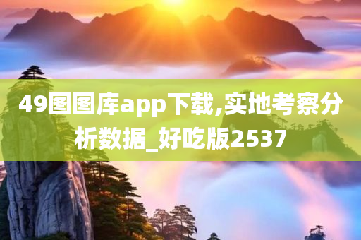 49图图库app下载,实地考察分析数据_好吃版2537