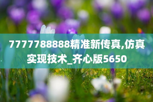 7777788888精准新传真,仿真实现技术_齐心版5650