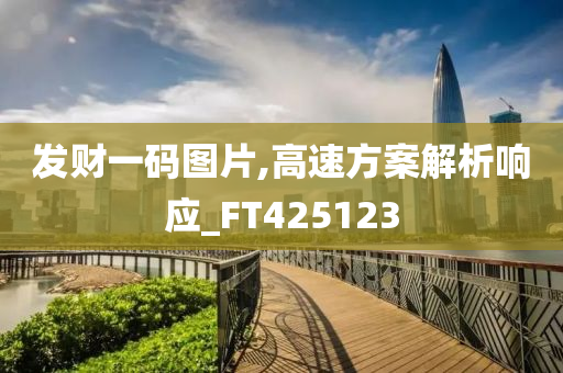 发财一码图片,高速方案解析响应_FT425123