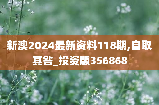 新澳2024最新资料118期,自取其咎_投资版356868