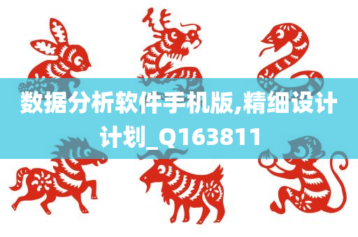 数据分析软件手机版,精细设计计划_Q163811